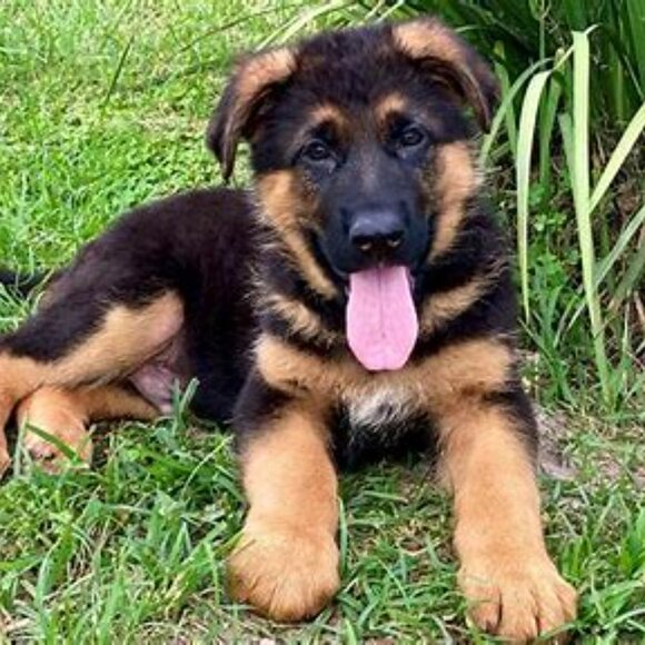 💰💰WELCOME to my PM Garage Sale! Browse! Items you didn't even know you needed! - Picture 5 of 15